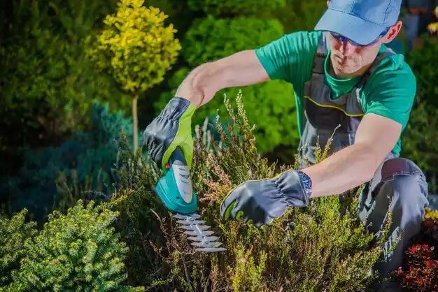 landscaping services East Cleveland